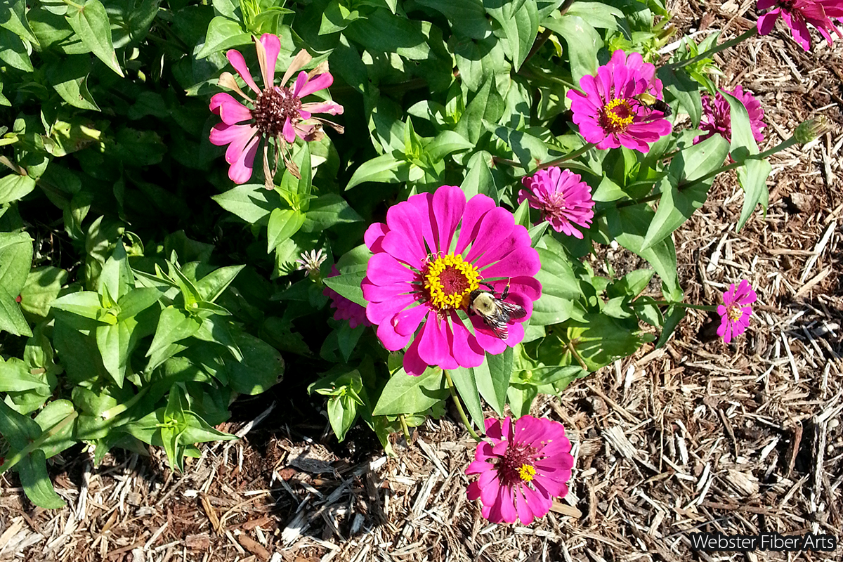 Riverbanks Garden Flowers | Webster Fiber Arts