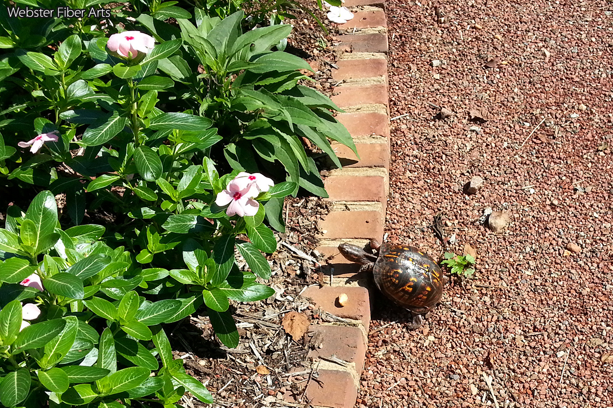 Riverbanks Garden Turtle | Webster Fiber Arts