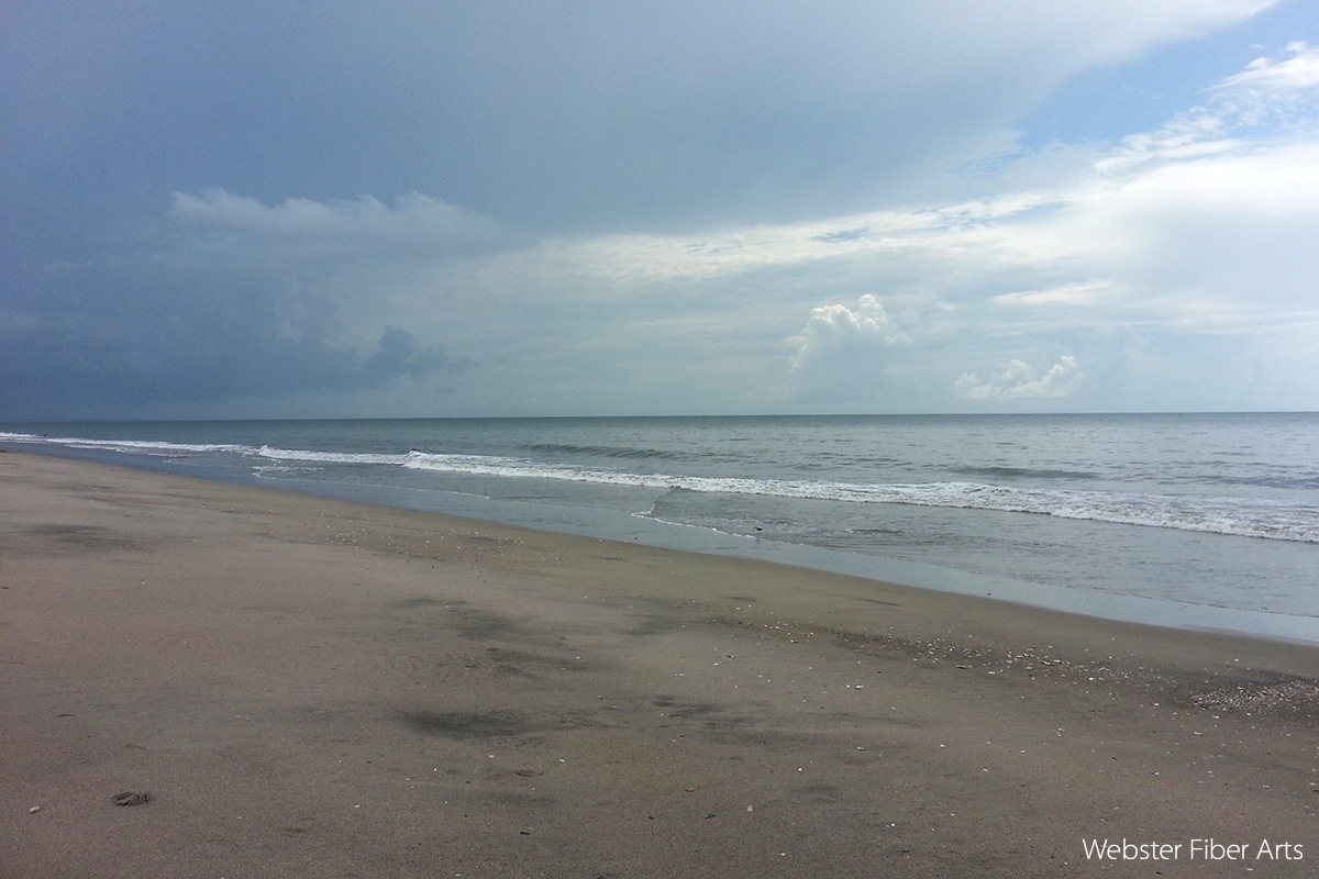 Edisto Beach State Park | Webster Fiber Arts