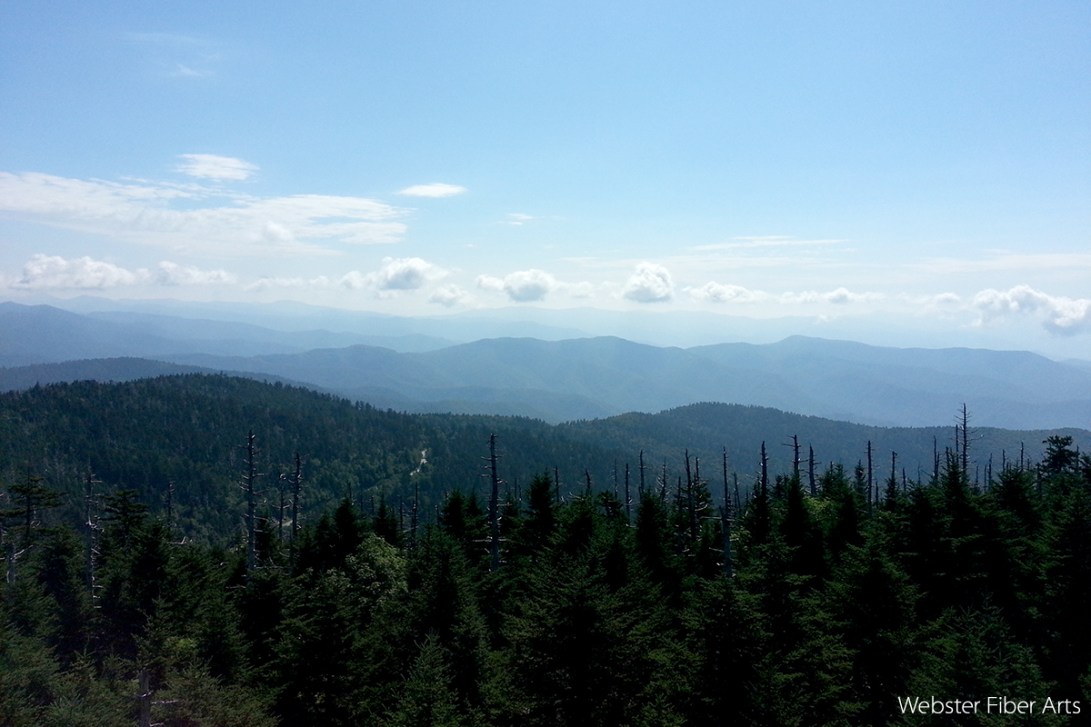 View from Clingmans Dome | Webster Fiber Arts