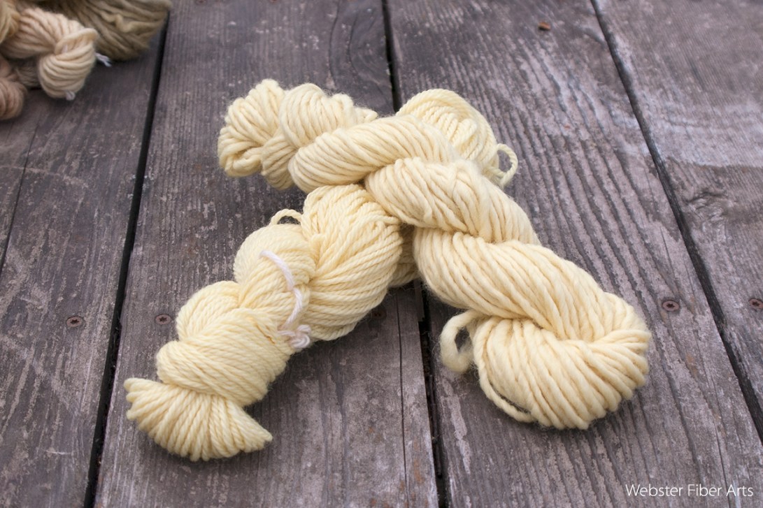 Daffodil Dyed Yarns | Webster Fiber Arts