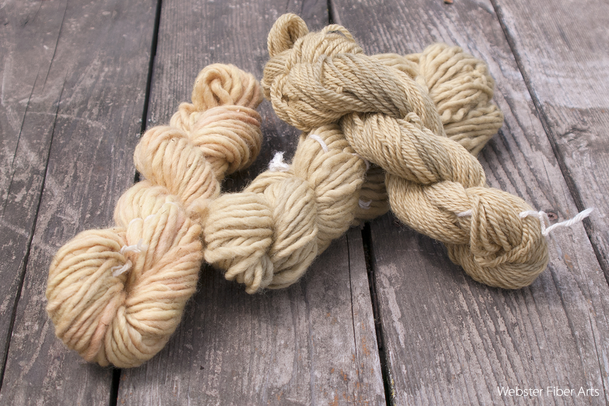 Dandelion Dyed Yarns | Webster Fiber Arts