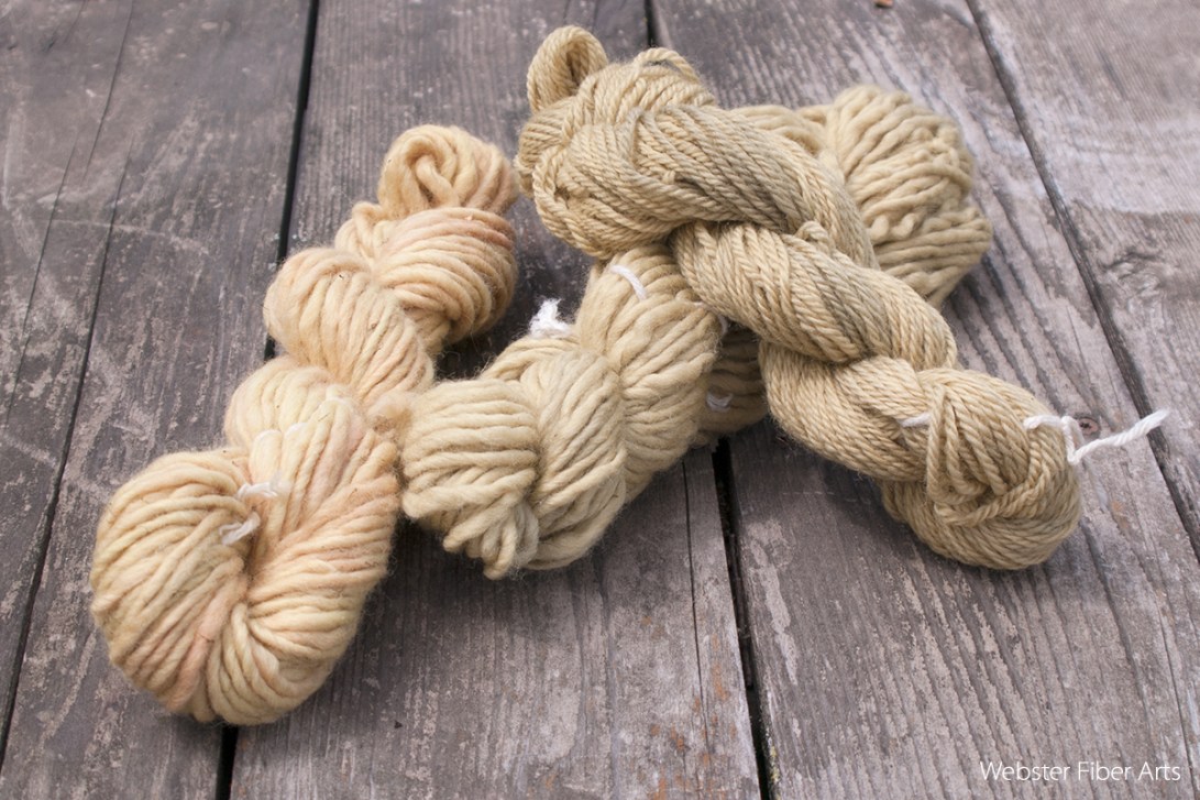 Dandelion Dyed Yarns | Webster Fiber Arts