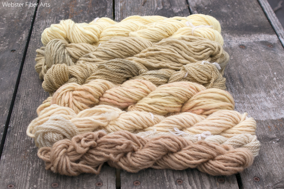 Eco Dyed Yarns | Webster Fiber Arts